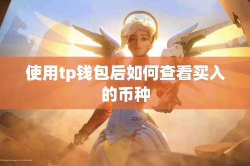 使用tp钱包后如何查看买入的币种