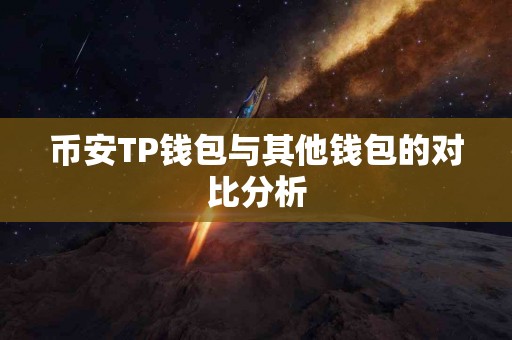 币安TP钱包与其他钱包的对比分析