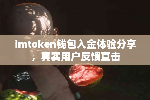 imtoken钱包入金体验分享，真实用户反馈直击